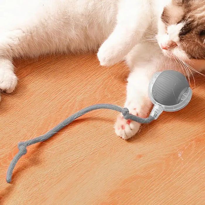 Interactive Smart Cat & Dog Toy - Automatic Rolling Ball with Faux Tail